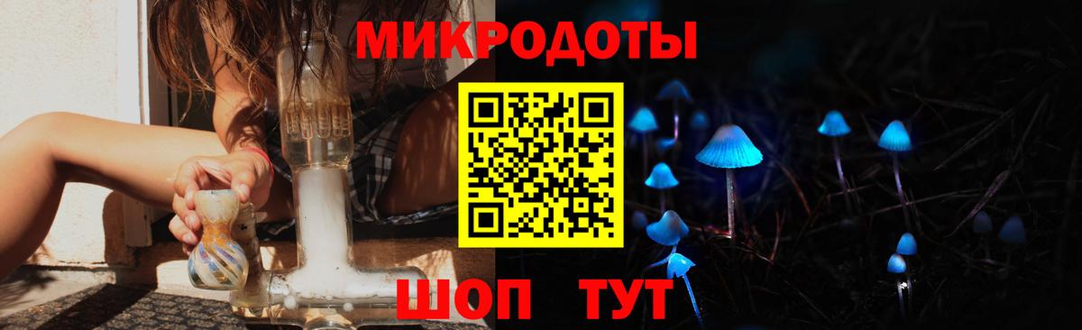 Псилоцибиновые грибы Psilocybe Дзержинск